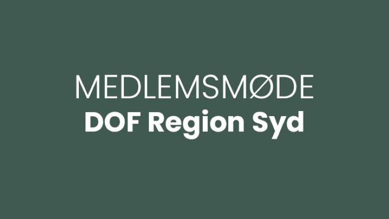 Medlemsmøde Syd